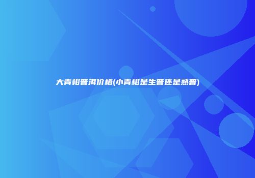 大青柑普洱价格(小青柑是生普还是熟普)