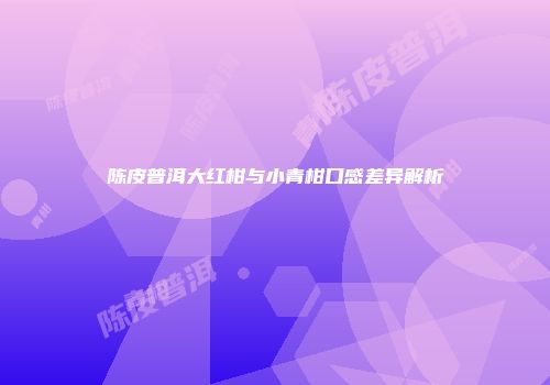 陈皮普洱大红柑与小青柑口感差异解析
