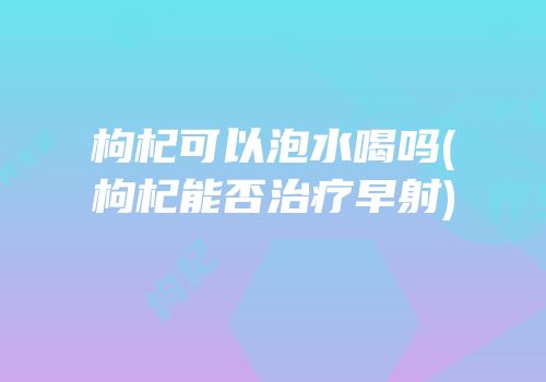 枸杞可以泡水喝吗(枸杞能否治疗早射)