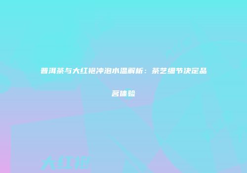 普洱茶与大红袍冲泡水温解析：茶艺细节决定品茗体验