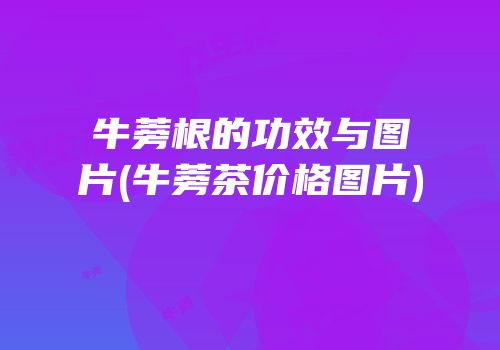牛蒡根的功效与图片(牛蒡茶价格图片)