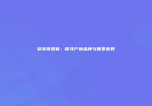 安溪铁观音：探寻产地品牌与香型差异