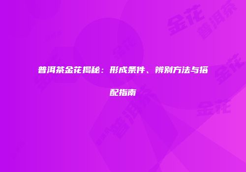 普洱茶金花揭秘：形成条件、辨别方法与搭配指南