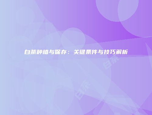 白茶种植与保存：关键条件与技巧解析