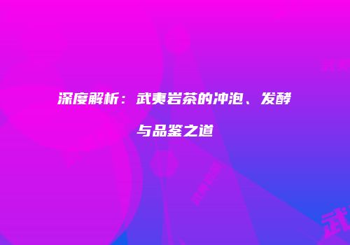深度解析：武夷岩茶的冲泡、发酵与品鉴之道