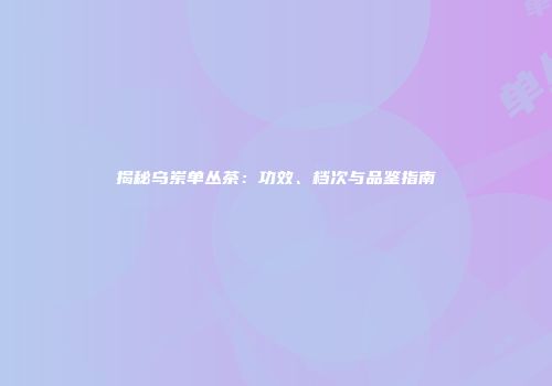 揭秘乌岽单丛茶：功效、档次与品鉴指南