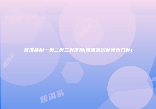 普洱茶树一类二类三类区别(普洱茶树种类有几种)