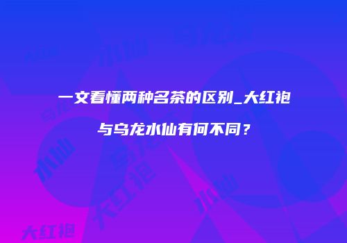一文看懂两种名茶的区别_大红袍与乌龙水仙有何不同？