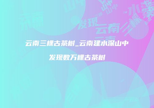 云南三棵古茶树_云南建水深山中发现数万棵古茶树