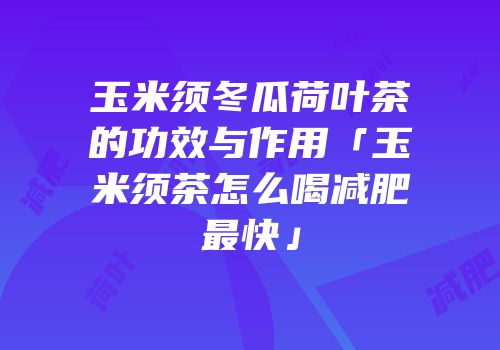 玉米须冬瓜荷叶茶的功效与作用「玉米须茶怎么喝减肥最快」