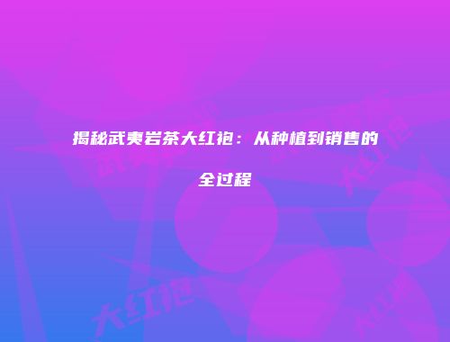 揭秘武夷岩茶大红袍：从种植到销售的全过程