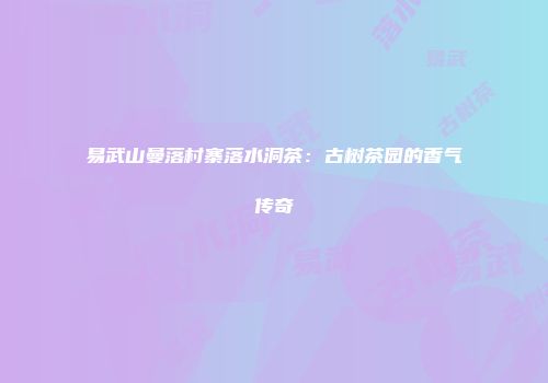 易武山曼落村寨落水洞茶：古树茶园的香气传奇