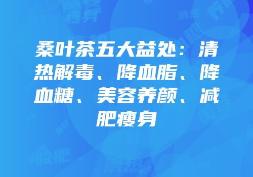 桑叶茶五大益处：清热解毒、降血脂、降血糖、美容养颜、减肥瘦身