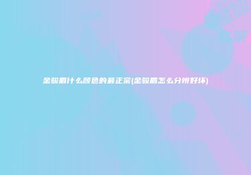 金骏眉什么颜色的最正宗(金骏眉怎么分辨好坏)