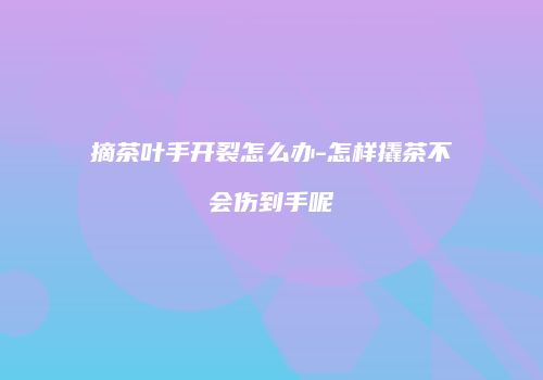 摘茶叶手开裂怎么办-怎样撬茶不会伤到手呢