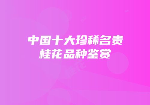 中国十大珍稀名贵桂花品种鉴赏