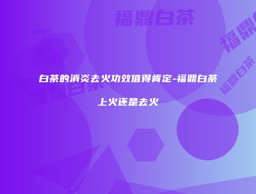 白茶的消炎去火功效值得肯定-福鼎白茶上火还是去火