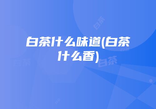 白茶什么味道(白茶什么香)