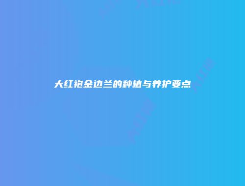 大红袍金边兰的种植与养护要点