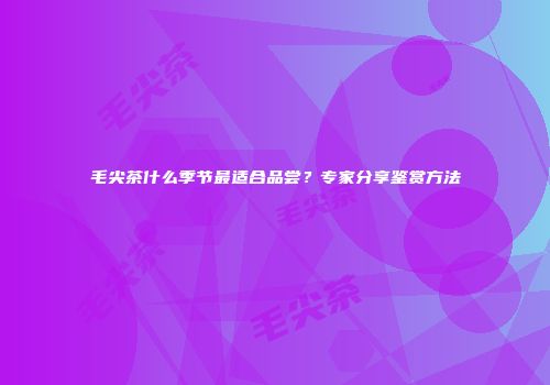 毛尖茶什么季节最适合品尝？专家分享鉴赏方法