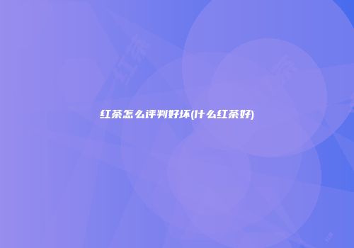 红茶怎么评判好坏(什么红茶好)