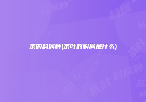 茶的科属种(茶叶的科属是什么)
