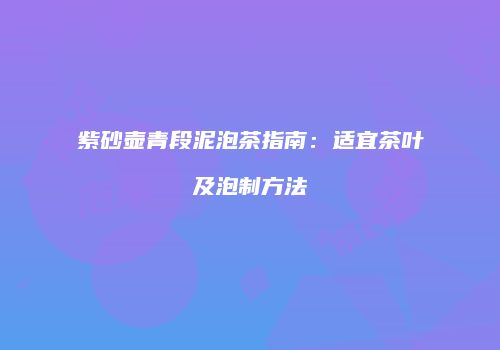 紫砂壶青段泥泡茶指南：适宜茶叶及泡制方法