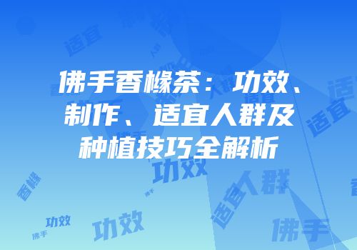 佛手香橼茶：功效、制作、适宜人群及种植技巧全解析