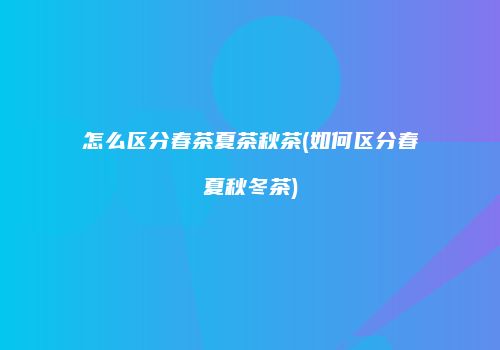 怎么区分春茶夏茶秋茶(如何区分春夏秋冬茶)