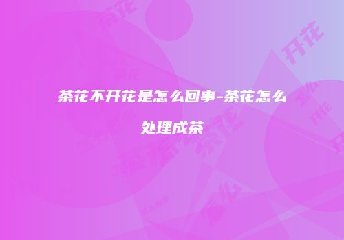 茶花不开花是怎么回事-茶花怎么处理成茶