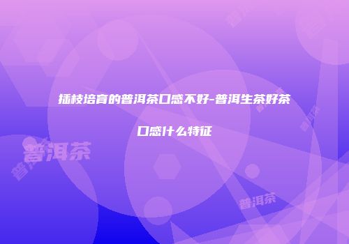 插枝培育的普洱茶口感不好-普洱生茶好茶口感什么特征