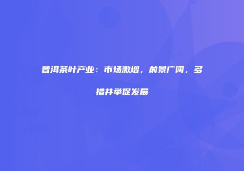 普洱茶叶产业：市场激增，前景广阔，多措并举促发展