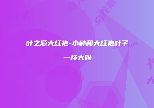 叶之源大红袍-小种和大红袍叶子一样大吗