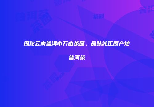 探秘云南普洱市万亩茶园，品味纯正原产地普洱茶