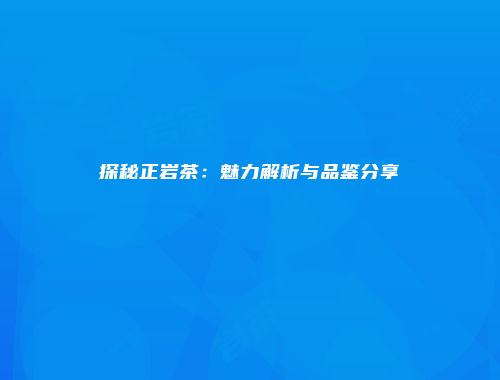探秘正岩茶：魅力解析与品鉴分享