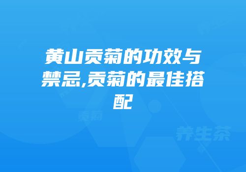 黄山贡菊的功效与禁忌,贡菊的最佳搭配