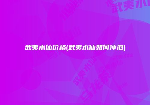 武夷水仙价格(武夷水仙如何冲泡)