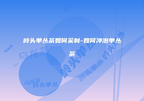 岭头单丛茶如何采制-如何冲泡单丛茶