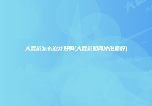 大麦茶怎么泡才好喝(大麦茶如何冲泡最好)