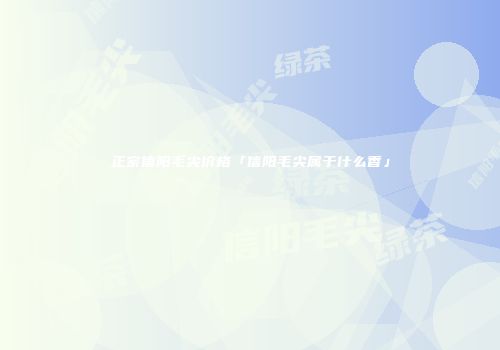 正宗信阳毛尖价格「信阳毛尖属于什么香」