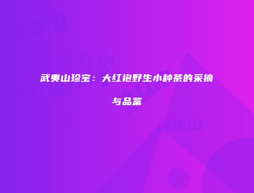 武夷山珍宝：大红袍野生小种茶的采摘与品鉴