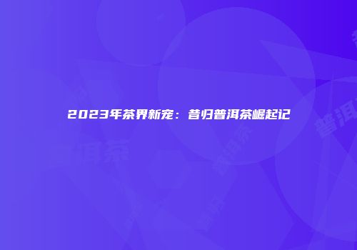 2023年茶界新宠：昔归普洱茶崛起记