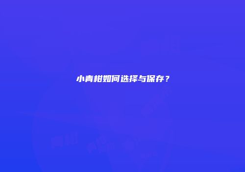 小青柑如何选择与保存？