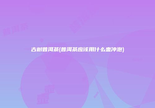 古树普洱茶(普洱茶应该用什么壶冲泡)