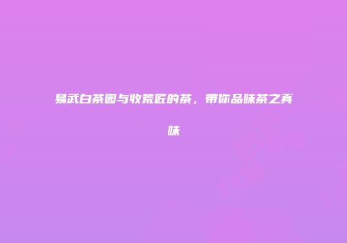 易武白茶园与收荒匠的茶，带你品味茶之真味
