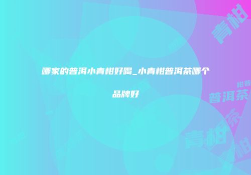 哪家的普洱小青柑好喝_小青柑普洱茶哪个品牌好