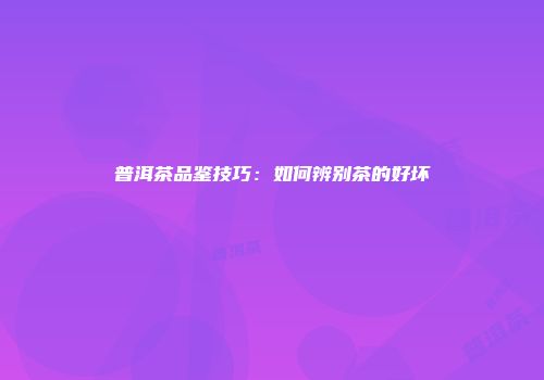 普洱茶品鉴技巧：如何辨别茶的好坏