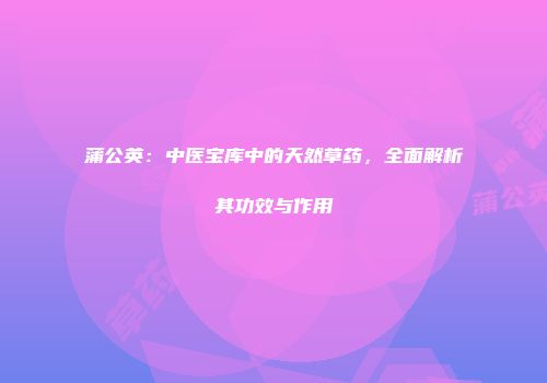 蒲公英：中医宝库中的天然草药，全面解析其功效与作用