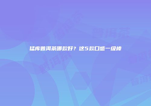 猛库普洱茶哪款好？这5款口感一级棒