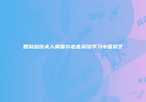 智利总统夫人莫雷尔老舍茶馆学习中国茶艺